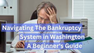 Navigating the bankruptcy system. A beginner's guide